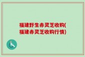 福建野生赤灵芝收购(福建赤灵芝收购行情)