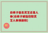 白娘子偷走灵芝还是人参(白娘子被指窃取灵芝人参换新称)