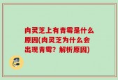 肉灵芝上有青霉是什么原因(肉灵芝为什么会出现青霉？解析原因)