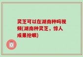 灵芝可以在湖南种吗视频(湖南种灵芝，惊人成果抢眼)