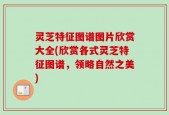 灵芝特征图谱图片欣赏大全(欣赏各式灵芝特征图谱，领略自然之美)