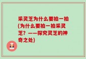 采灵芝为什么要拍一拍(为什么要拍一拍采灵芝？——探究灵芝的神奇之处)