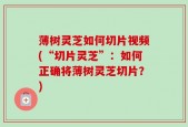 薄树灵芝如何切片视频(“切片灵芝”：如何正确将薄树灵芝切片？)