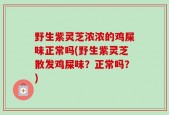 野生紫灵芝浓浓的鸡屎味正常吗(野生紫灵芝散发鸡屎味？正常吗？)