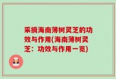 采摘海南薄树灵芝的功效与作用(海南薄树灵芝：功效与作用一览)