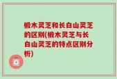 椴木灵芝和长白山灵芝的区别(椴木灵芝与长白山灵芝的特点区别分析)