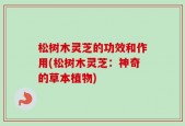 松树木灵芝的功效和作用(松树木灵芝：神奇的草本植物)