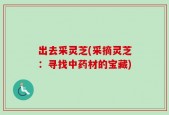 出去采灵芝(采摘灵芝：寻找中药材的宝藏)