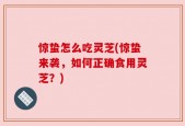 惊蛰怎么吃灵芝(惊蛰来袭，如何正确食用灵芝？)