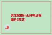 灵芝配搭什么好喝点呢图片(灵芝)