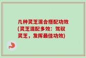 几种灵芝混合搭配功效(灵芝混配多效：驾驭灵芝，发挥最佳功效)
