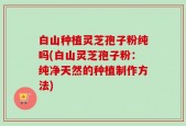 白山种植灵芝孢子粉纯吗(白山灵芝孢子粉：纯净天然的种植制作方法)