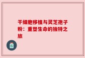 干细胞移植与灵芝孢子粉：重塑生命的独特之旅