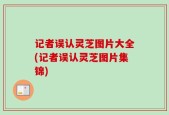记者误认灵芝图片大全(记者误认灵芝图片集锦)