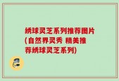 绣球灵芝系列推荐图片(自然界灵秀 精美推荐绣球灵芝系列)