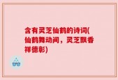 含有灵芝仙鹤的诗词(仙鹤舞动间，灵芝飘香祥德彰)