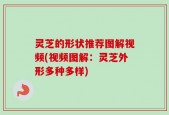 灵芝的形状推荐图解视频(视频图解：灵芝外形多种多样)