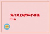 黄药灵芝功效与作用是什么