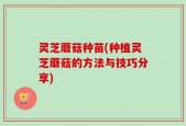 灵芝蘑菇种苗(种植灵芝蘑菇的方法与技巧分享)