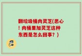 翻垃圾桶肉灵芝(恶心! 肉桶里加灵芝这种东西是怎么回事？)