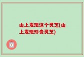 山上发现这个灵芝(山上发现珍贵灵芝)
