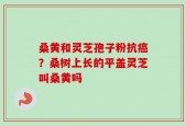 桑黄和灵芝孢子粉抗癌？桑树上长的平盖灵芝叫桑黄吗
