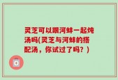 灵芝可以跟河蚌一起炖汤吗(灵芝与河蚌的搭配汤，你试过了吗？)