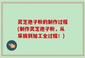 灵芝孢子粉的制作过程(制作灵芝孢子粉，从采摘到加工全过程！)