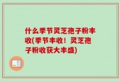 什么季节灵芝孢子粉丰收(季节丰收！灵芝孢子粉收获大丰盛)