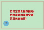 竹灵芝美食推荐图片(竹林深处的美食宝藏-灵芝美食推荐)