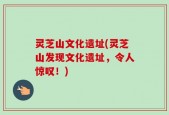 灵芝山文化遗址(灵芝山发现文化遗址，令人惊叹！)