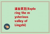 溪谷灵芝(Exploring the mysterious valley of Lingzhi)