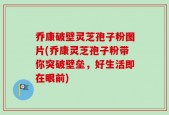 乔康破壁灵芝孢子粉图片(乔康灵芝孢子粉带你突破壁垒，好生活即在眼前)