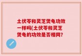 土伏苓和灵芝煲龟功效一样吗(土伏苓和灵芝煲龟的功效是否相同？