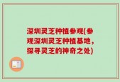 深圳灵芝种植参观(参观深圳灵芝种植基地，探寻灵芝的神奇之处)