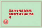 灵芝孢子粉采集视频？新鲜野生灵芝可以泡酒吗