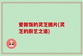 爱做饭的灵芝图片(灵芝的厨艺之道)