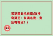 灵芝菌长毛有霉点(神奇灵芝：长满毛发，竟还有霉点？)