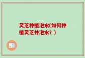 灵芝种植泡水(如何种植灵芝并泡水？)