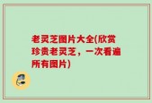 老灵芝图片大全(欣赏珍贵老灵芝，一次看遍所有图片)