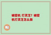 破壁机 打灵芝？破壁机打灵芝怎么做