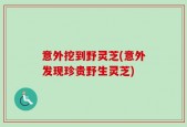 意外挖到野灵芝(意外发现珍贵野生灵芝)