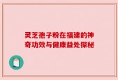灵芝孢子粉在福建的神奇功效与健康益处探秘