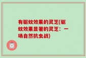 有驱蚊效果的灵芝(驱蚊效果显著的灵芝：一场自然抗虫战)