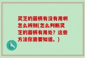 灵芝的菌柄有没有用啊怎么辨别(怎么判断灵芝的菌柄有用处？这些方法你需要知道。)