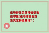 庄埠野生灵芝种植基地在哪里(庄埠哪里有野生灵芝种植基地？)