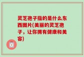 灵芝孢子指的是什么东西图片(美丽的灵芝孢子，让你拥有健康和美容)