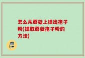怎么从蘑菇上提出孢子粉(提取蘑菇孢子粉的方法)