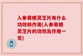 人参葛根灵芝片有什么功效和作用(人参葛根灵芝片的功效及作用一览)