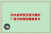 川大金钟灵芝孢子图片？孢子的保存期是多久